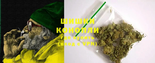spice Новодвинск