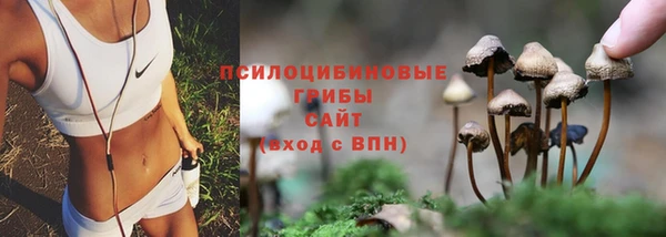 индика Новокубанск