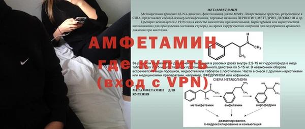 индика Новокубанск