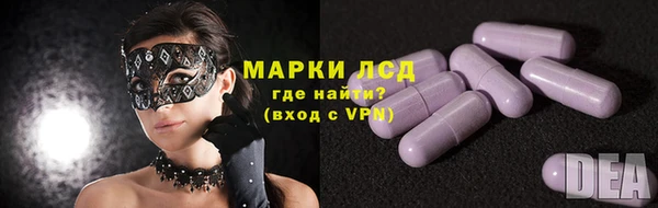 PSILOCYBIN Новозыбков