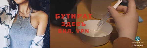 индика Новокубанск