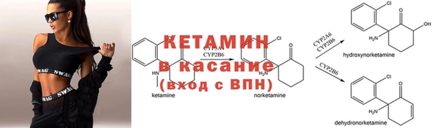 PSILOCYBIN Новозыбков