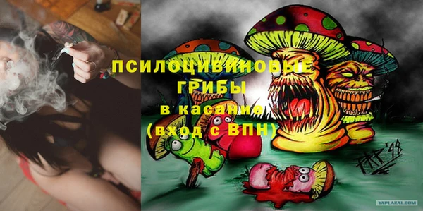 PSILOCYBIN Новозыбков