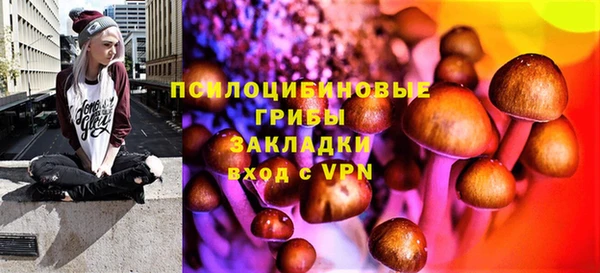 spice Новодвинск