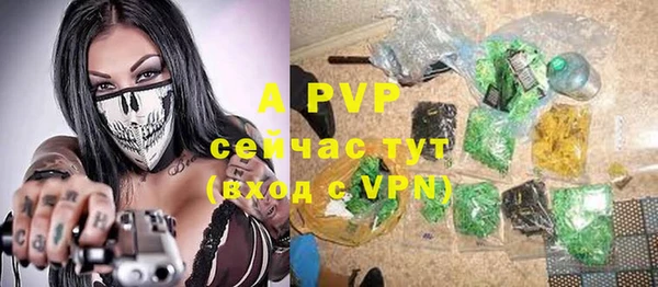 индика Новокубанск