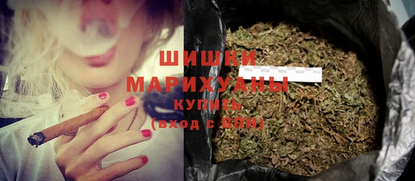 индика Новокубанск
