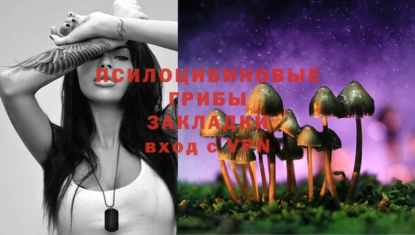 spice Новодвинск