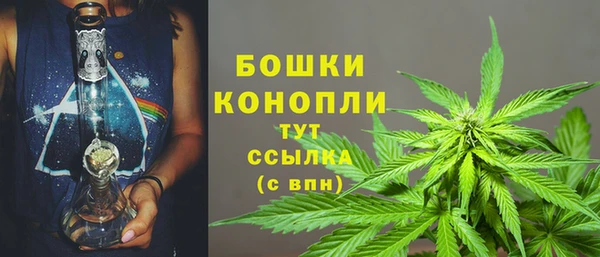 spice Новодвинск