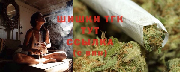 индика Новокубанск