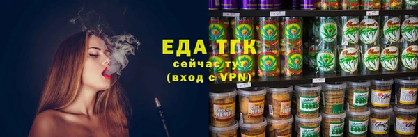 индика Новокубанск