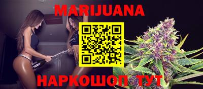 молекула духа Будённовск