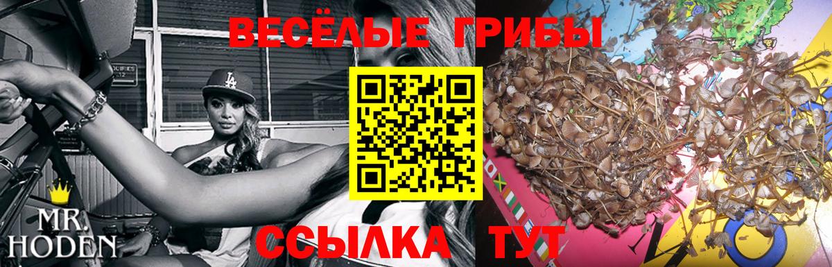 Галлюциногенные грибы мицелий Воронеж