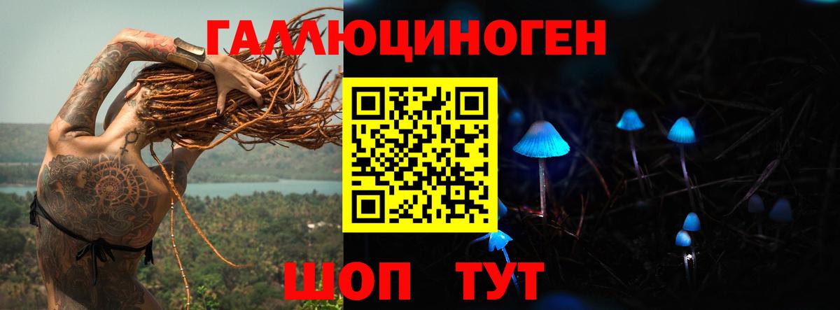 Галлюциногенные грибы GOLDEN TEACHER  Вход с VPN  Воронеж  Псилоцибиновые грибы мухоморы 